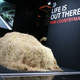 Image for article titled MINI Countryman Dons Ghillie Suit, Sniping Chinese Hipsters
